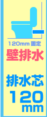 壁排水 排水芯120mm